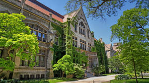 歷史悠久的石造大學建築，牆上爬滿常春藤，陽光下綠樹成蔭。