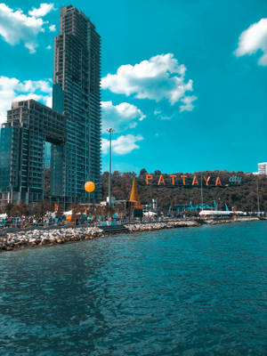 沿海城市天際線，高樓大廈和碧綠的海水，天空湛藍，白雲朵朵。 — 城市 壁紙