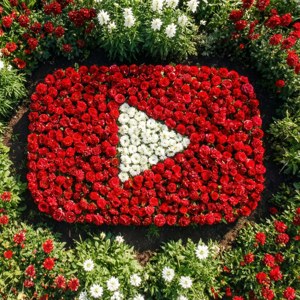 在花園中用紅色和白色花朵製成的 YouTube 播放按鈕。 — YouTube 壁紙