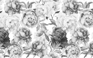 花卉背景 — 花卉動畫 壁紙
