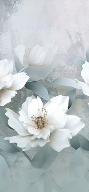 在紋理灰色背景上的白木蘭花，帶有金色雄蕊。 — 銀河A07 壁紙