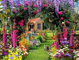 色彩繽紛的花園，有花朵、紫藤、玫瑰，以及小屋附近的貓。