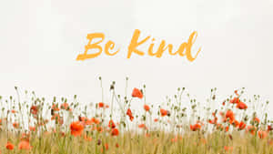 橙色罌粟花田與文字 Be Kind
