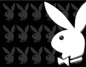Playboy兔仔標誌，黑色背景上重複灰色剪影。