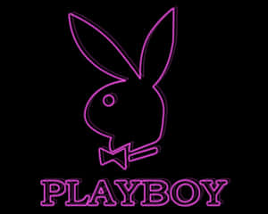 紫色霓虹燈Playboy兔仔標誌，配蝴蝶結及文字，黑色背景。