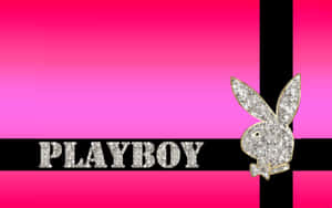 Playboy標誌和文字以閃爍銀色呈現，背景為粉紅和黑色。