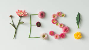 花朵排列在白色背景上拼出「YES」一字。