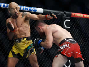 兩名男性拳手在MMA籠中，一人向另一人出拳。