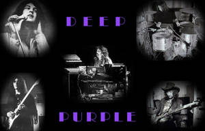 Deep Purple 樂隊成員在黑白照片中演奏樂器，並帶有紫色文字。 — 淺紫色動態圖片 壁紙
