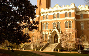 宏偉的大學建築，在溫暖陽光下擁有盛開的樹木和石階。