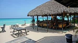 茅草屋頂和木桌的海灘酒吧，位於白色沙灘上，靠近碧綠海水。 — 牙買加海灘 壁紙