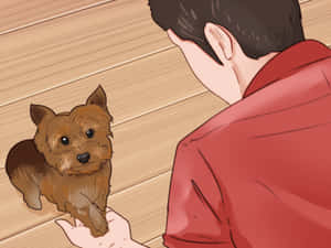 穿紅衫的人撫摸木地板上的小型棕色㹴犬。 — 金毛尋回犬 BB GIF 壁紙
