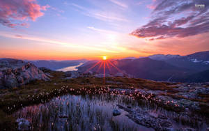 夕陽下的山景，有倒映池塘和棉花草