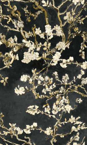 杏仁花枝條，白色花朵襯托深色紋理背景。