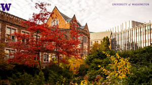 秋季校園場景，有紅樹和歷史悠久的大學建築。