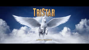 白翼馬在雲層上飛翔，帶有Tristar標誌