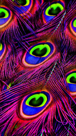 霓虹色孔雀羽毛的特寫，帶有發光的綠色眼斑。 — 孔雀 壁紙