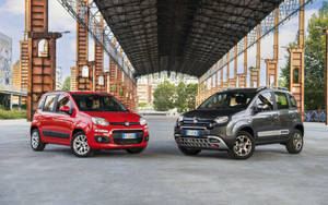 兩輛Fiat Panda汽車停泊在一個帶有塗鴉的工業金屬結構下。