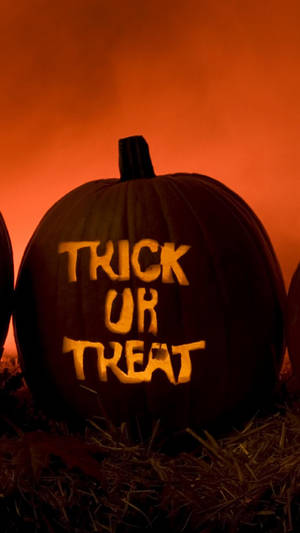 在秋日黃昏中發光的雕刻南瓜，帶有 trick or treat 文字。