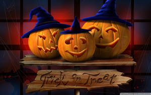 三個戴巫婆帽的笑臉南瓜和一個 Trick or Treat 標牌。 — 萬聖節 壁紙