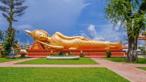 寺廟花園中的金色臥佛，綠草如茵，藍天白雲。 — 超高清 GIF 壁紙