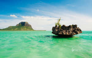 熱帶島嶼，碧綠的海水，前景有岩石露頭。