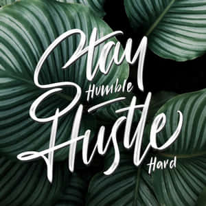 勵志名言 Stay Humble Hustle Hard 以白色字體寫在深綠色葉片上。 — 鼓舞人心的 壁紙