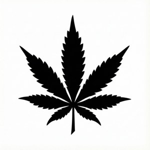 白色背景上的黑色大麻葉剪影