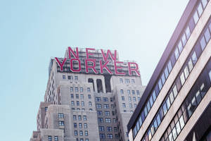 一座高樓，在藍天下有一個粉紅色的 New Yorker 標誌。 — 紐約市 壁紙