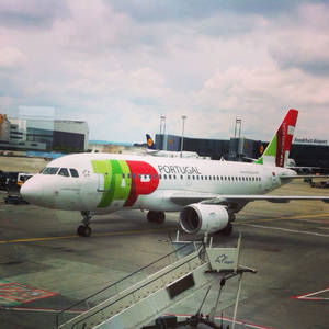 TAP葡萄牙航空的飛機停在法蘭克福機場停機坪，附近有登機橋。