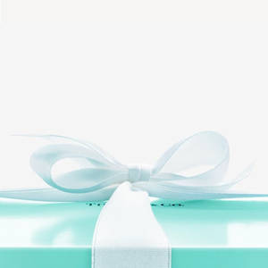 Tiffany & Co. 禮物盒附白色蝴蝶結