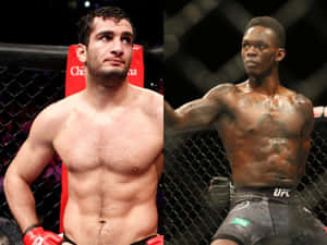 比賽期間八角籠內的兩名男性MMA拳手。