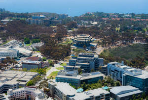大學校園的鳥瞰圖，建築物和樹木靠近海洋。 — 加州 壁紙