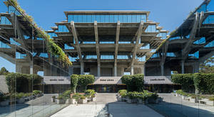 現代混凝土圖書館，玻璃牆，藍天白雲下綠意盎然。 — 花園牆外 壁紙