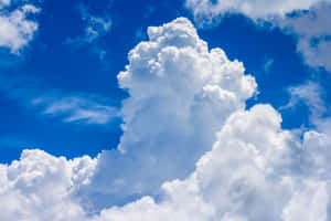 廣闊的藍天佈滿蓬鬆的白雲