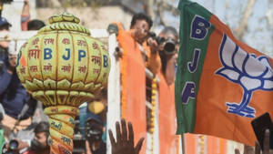 BJP政治集會上的人群手持旗幟和裝飾標誌。