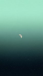 漸變青綠色天空中的新月與散落的星星 — 薄荷綠 壁紙