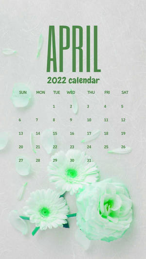 2022年4月月曆，薄荷綠色花朵和花瓣在紋理白色背景上。