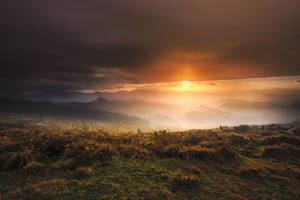 霧氣籠罩的山脈上的日出，金色光芒照亮草叢前景。