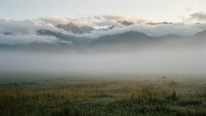 霧氣瀰漫的早晨景觀，霧覆蓋的草原和山頂在柔和的晨光中。