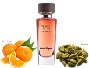 Tuscan Soul 香水瓶，配有苦橙和荳蔻莢。