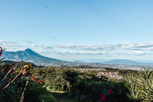 從一個草木茂盛嘅山坡眺望，遠方有座突出嘅山峰嘅城市景觀。 — 城市景觀 壁紙