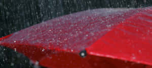 大雨中的紅色雨傘，表面上有水滴