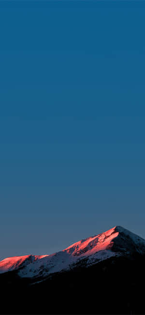 Blue Amoled