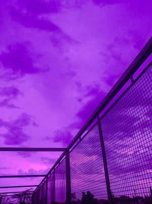 金屬圍欄後方的紫色暮色天空，帶有雲朵圖案。