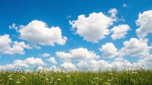 藍天白雲下，野花盛開的綠色草地。 — 天空 壁紙