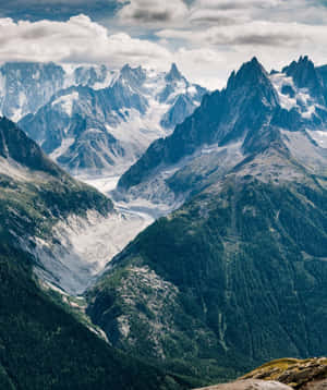 多雲天空下，森林山谷中的白雪覆蓋山峰和冰川。