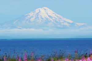 雪山俯瞰藍色海洋，前景有紫色野花。