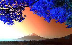藍色楓葉框住日落時的富士山。
