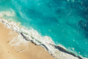 高空拍攝碧綠色的海浪沖刷金色沙灘，有小小的衝浪者。
